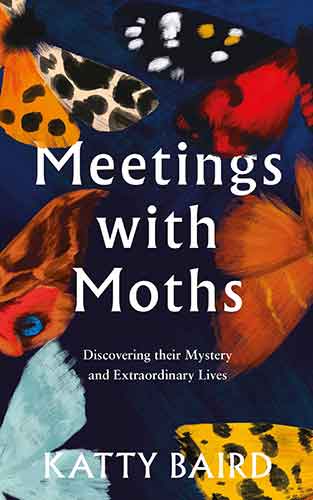 Meeting with Moths