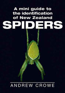 A Mini Guide to the Identification of New Zealand Spiders