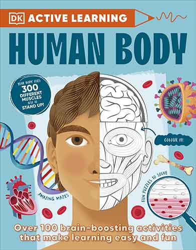 Human Body