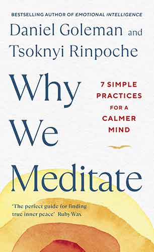 Why We Meditate