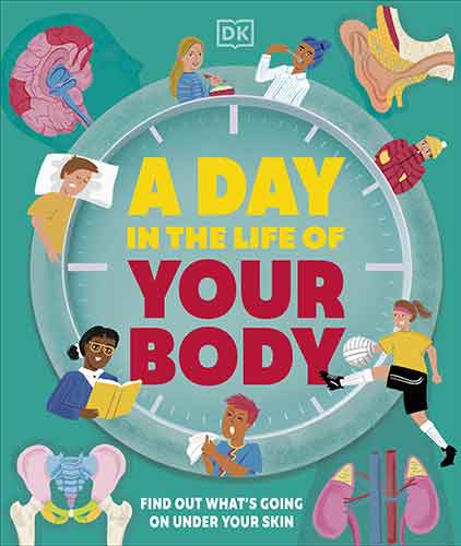 A Day in the Life of Your Body