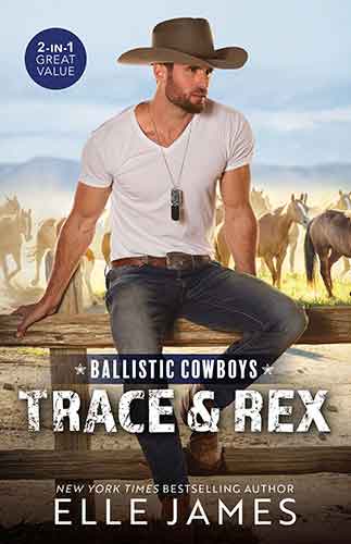 Ballistic Cowboys