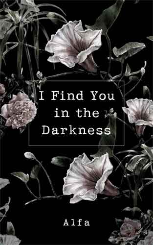 I Find You in the Darkness