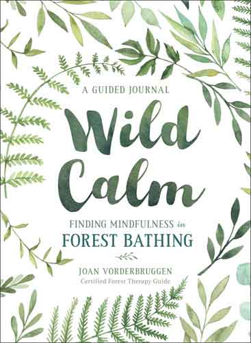 Wild Calm: Finding Mindfulness in Forest Bathing