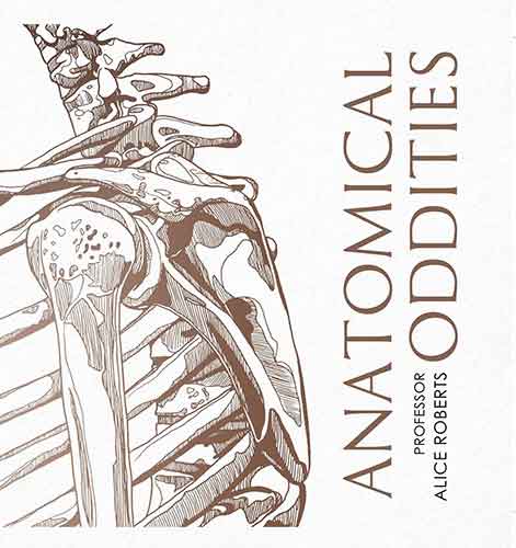 Anatomical Oddities