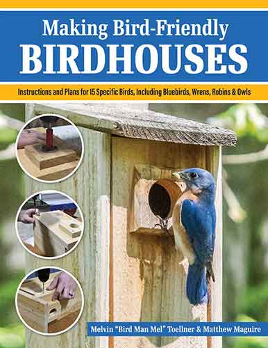Making Bird-Friendly Birdhouses