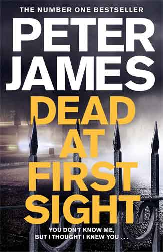 Dead at First Sight: A Roy Grace Novel 15