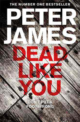 Dead Like You: A Roy Grace Novel 6