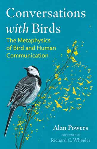 Conversations with Birds