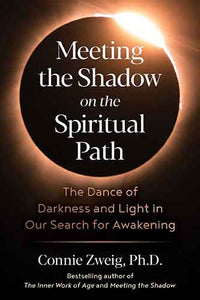 Meeting the Shadow on the Spiritual Path