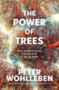 The Power of Trees