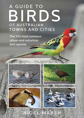 A Guide to Birds of Australian Towns and Cities