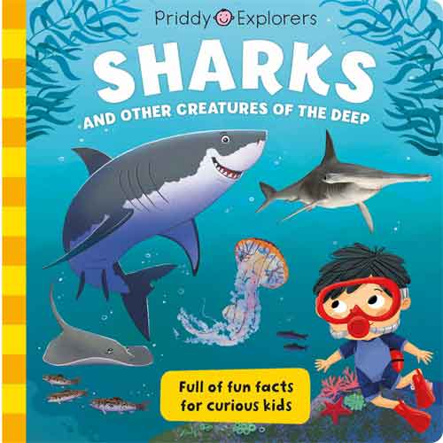 Priddy Explorers:  Sharks