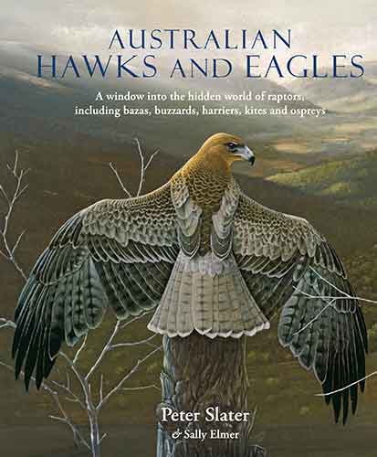 Australian Hawks and Eagles