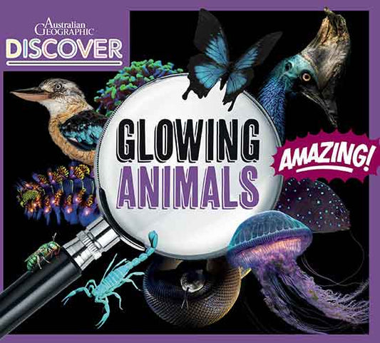 AG Discover: Glowing Animals