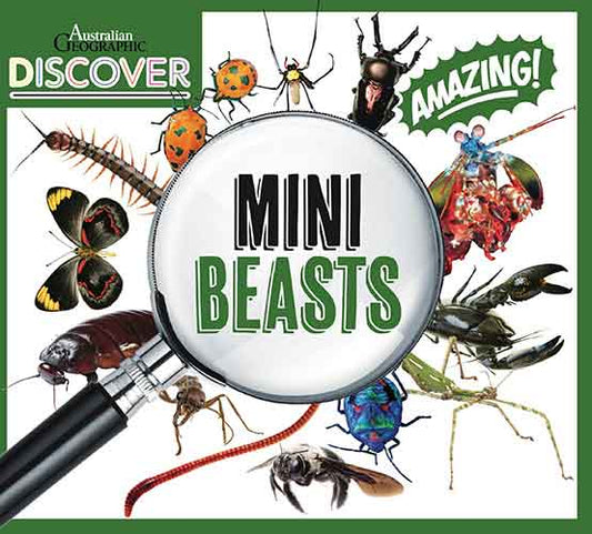 AG Discover: Minibeasts