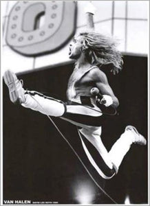 Van Halen - David Lee Roth Poster