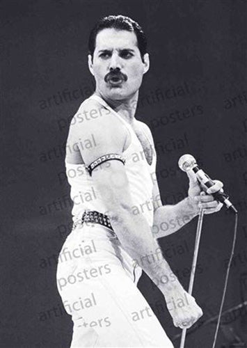 Freddie Mercury - Live Aid Poster