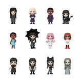 Wednesday Mystery Mini Blind Box - Set of 12
