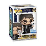 Harry Potter - Harry Potter with Hedwig Pop! Vinyl Figure