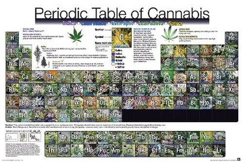 Periodic Table of Cannabis White Poster