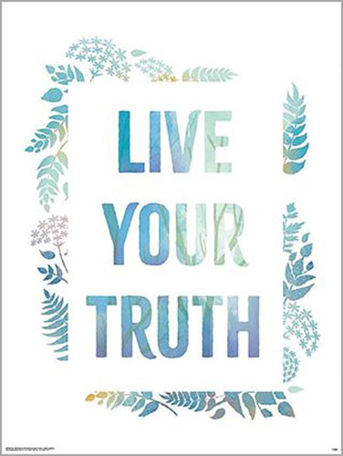 Frozen II - Live Your Truth 60 x 80cm Art Print