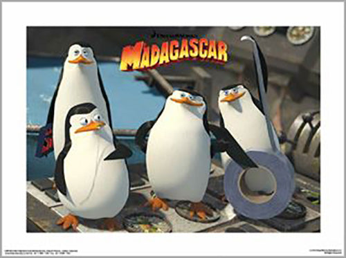Madagascar - Penguins 30 x 40cm Art Print