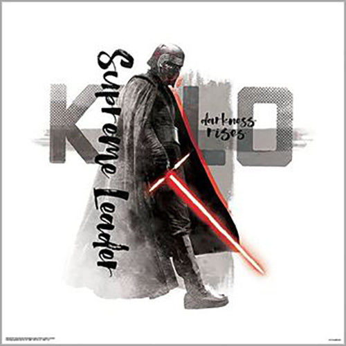 Star Wars: Episode IX - Supreme Ruler 40 x 40cm Art Print