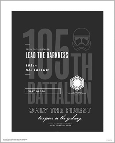 Star Wars: Episode IX - 105th Battalion 40 x 50cm Art Print