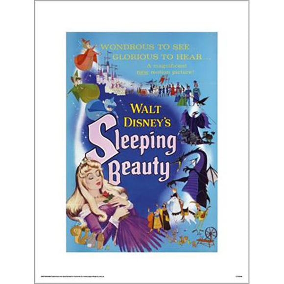 Disney - Sleeping Beauty Movie 30 x 40cm Art Print