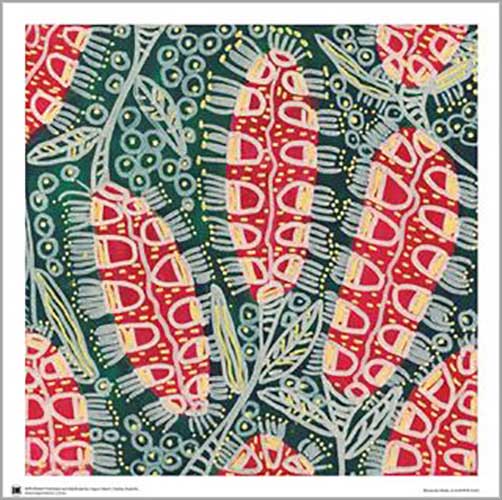 Julianne Wade - Bush Tucker and Medicines 40 x 40cm Art Print