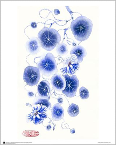 Gabby Malpas - Blue Nasturtiums 40 x 50cm Art Print