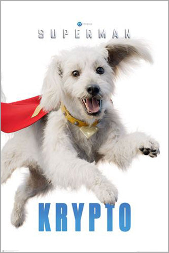 DC Comics - Superman Krypto Poster