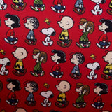 Peanuts - Charlie Brown Lunchbox Crossbody NEW Loungefly