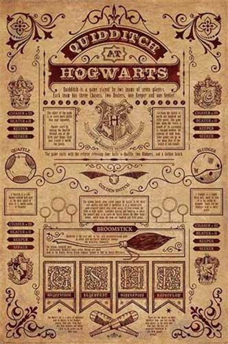 Harry Potter - Quidditch At Hogwarts Poster