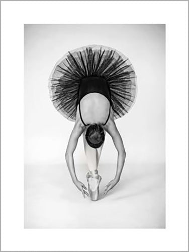 Pauline Pentony - Ballet Technique 60 x 80cm Art Print