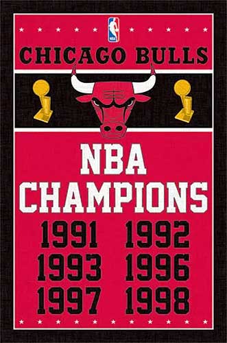 NBA: Chicago Bulls - Champions Poster