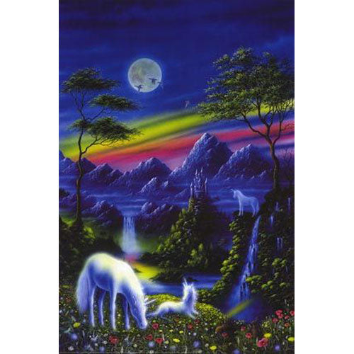 Danny Flynn - Land of the Unicorns Poster