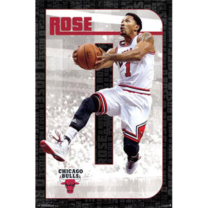 NBA: Chicago Bulls - Derek Rose 2014 Poster