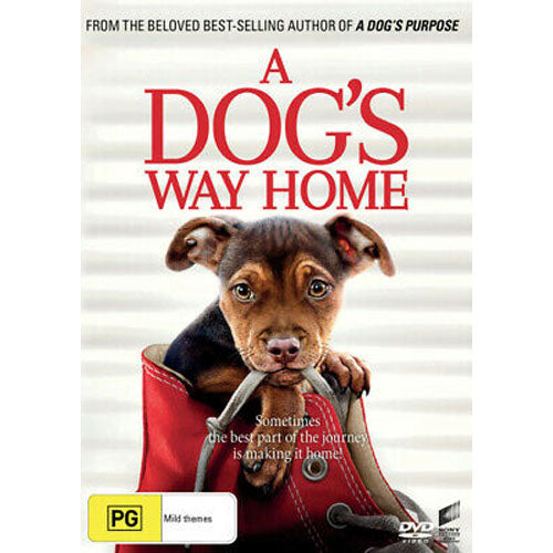 A Dog's Way Home (DVD)