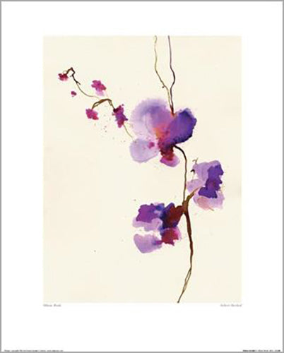 Summer Thornton - Velvet Orchid 40 x 50cm Art Print
