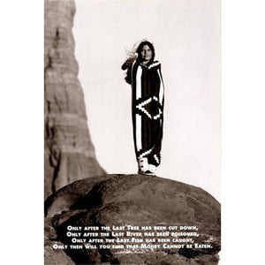 American Indian Prophecy Poster