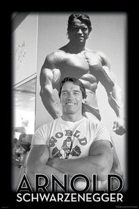 Arnold Schwarzenegger Poster