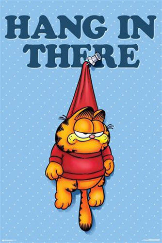 Garfield - Hang In There Poster