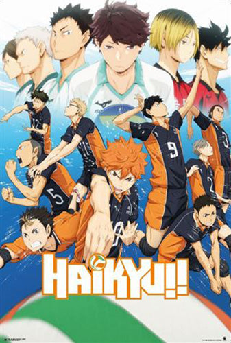 Haikyu!! - Karasuno Team Poster