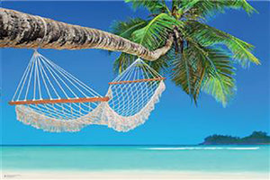 Beach - Hammock Poster