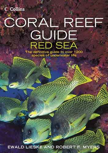 Collins Coral Reef Guide Red Sea