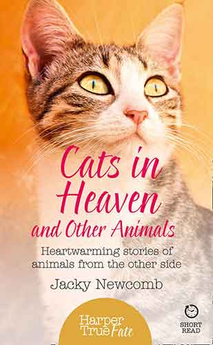 Harpertrue Fate - A Short Read - Cats In Heaven