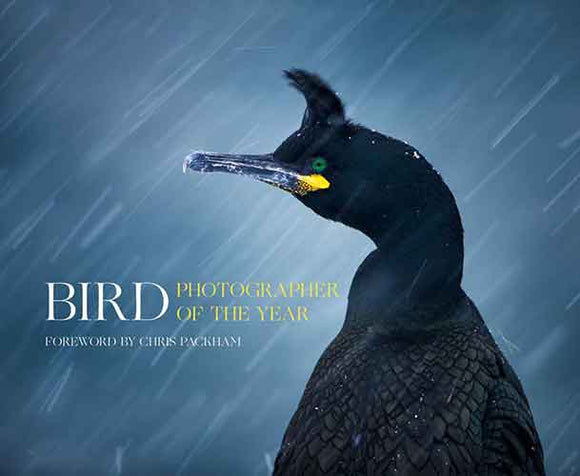 Bird Photographer Of The Year