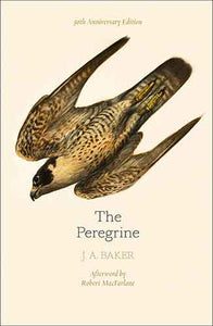 The Peregrine